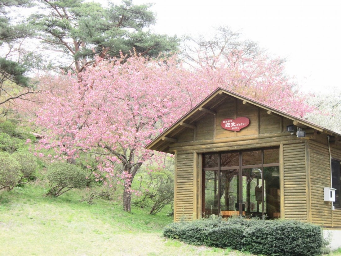 🏞️ 키미마치자카 현립 자연공원(키미마치자카 켄리츠 시젠 코엔) 이미지 5